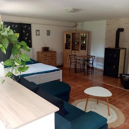 Appartamento Apartman Ivana Rumburk Esterno foto