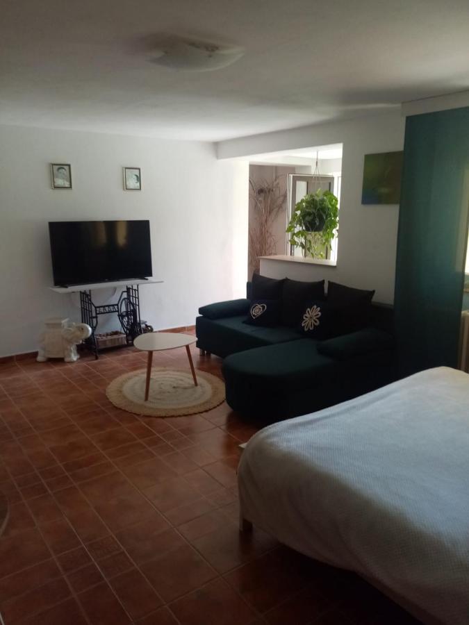 Appartamento Apartman Ivana Rumburk Esterno foto