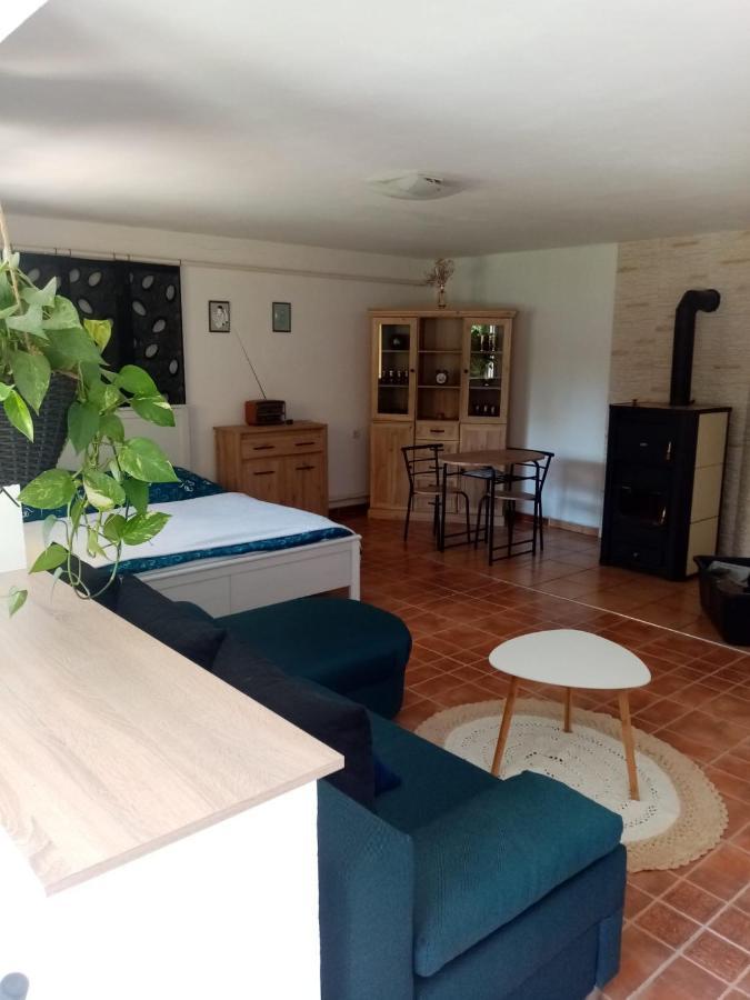 Appartamento Apartman Ivana Rumburk Esterno foto